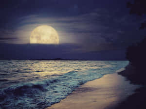 夜晚海洋上的滿月，沙灘上有波浪，星空下