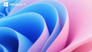 帶有 Windows 11 標誌的流動藍色和粉紅色波浪抽象數位桌布