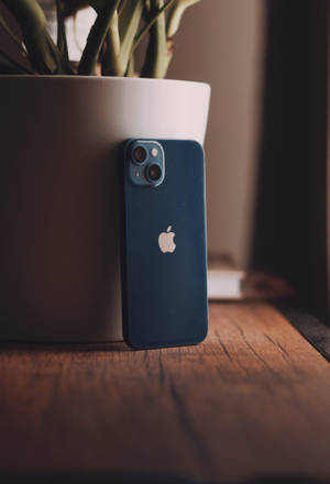 藍色iPhone靠在木桌上的盆栽植物上。 — IQOO Pad5 壁紙