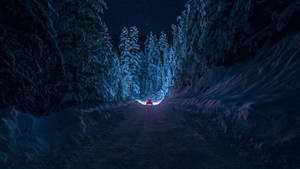 紅色汽車在雪地森林中夜間行駛，星空下