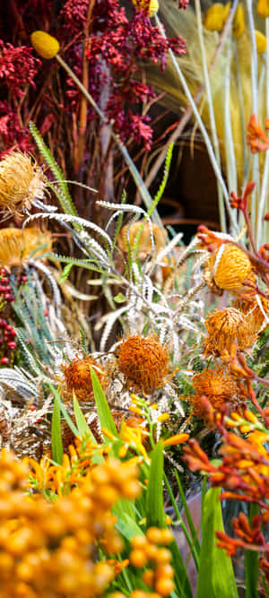 乾花花束，有橙色、黃色、紅色的花朵和綠色植物，呈現秋日色調。 — Pixel 9a 壁紙
