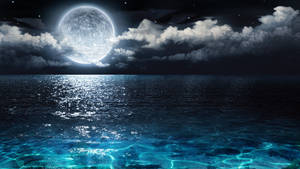 月光在繁星點點的夜空和飄動的雲層下，平靜的海面上反射。
