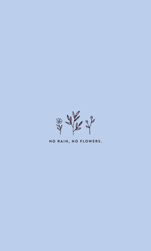 三棵線條繪製的植物，藍色背景上有文字 no rain no flowers