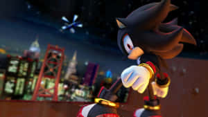 Shadow the Hedgehog 站在屋頂上，俯瞰著夜晚霓虹燈閃爍的城市。
