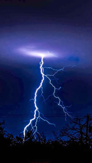 強烈的閃電照亮了暴風雨的夜空，映襯出黑暗的樹木剪影。