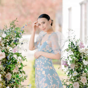 花卉圖片 — 花卉動畫 壁紙
