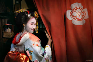穿著傳統和服的藝妓從紅色窗簾後探出頭來，帶有白色花朵。