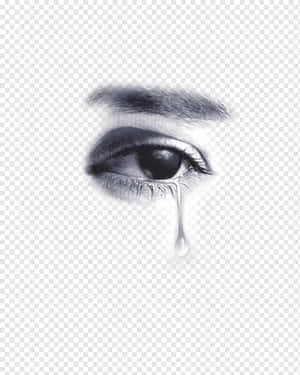 人類眼睛的特寫，灰階中有一滴眼淚從眼睛落下。