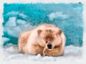 北極熊在雪景中睡覺，背景是冰藍色。 — 水彩 壁紙