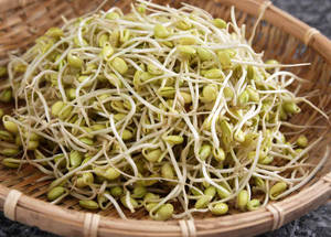 新鮮綠豆芽放在編織竹籃中。