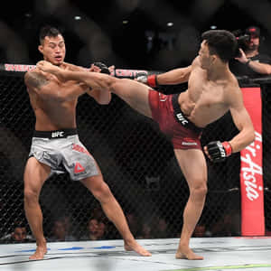 籠中的兩名男性拳手，在UFC比賽中一人踢向另一人。