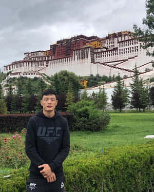 身穿黑色UFC連帽衫的男子站在布達拉宮前的花園中 — 建築 壁紙