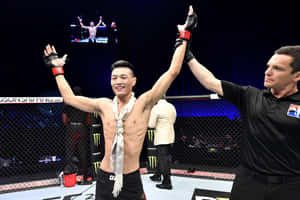 MMA拳手贏得比賽，裁判在八角籠中舉起他的手。