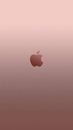 Apple標誌置於玫瑰金漸變背景中央