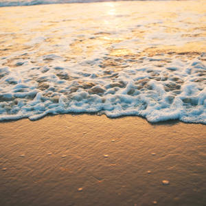 夕陽海浪拍打濕沙，帶有白色泡沫