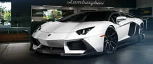 豪華車經銷商展廳中的白色林寶堅尼Aventador。 — 林寶堅尼 4K 壁紙