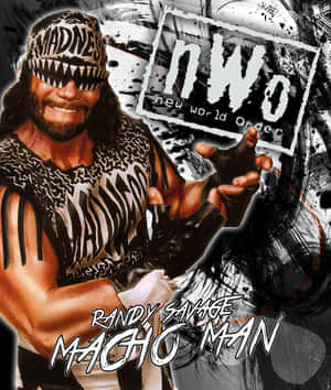 穿著NWO裝備的Randy Savage Macho Man，帶有粗體文字和潑濺背景。 — 摔角 GIF 壁紙