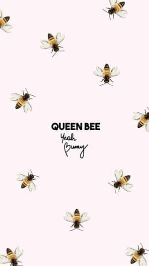 蜜蜂圍繞著粉紅色背景上的文字 queen bee yeah bunny。 — 蜜蜂 壁紙