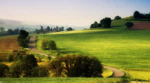 蜿蜒的道路穿過綠色的起伏山丘，有樹木和農舍，在晨光中。