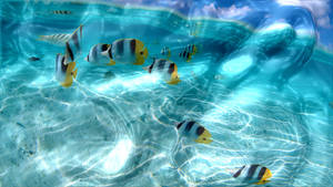 熱帶魚在清澈的藍色海水中游動，沙底上有陽光圖案。