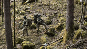 兩名士兵在佈滿苔蘚的森林中穿行，地面多岩石，樹木光禿。