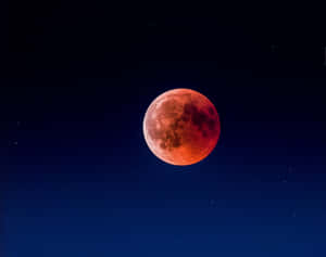血紅色的月亮在星星散落的深藍色夜空中明亮地照耀。 — 月亮 壁紙