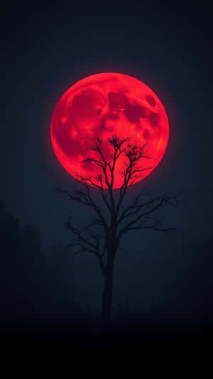 在黑暗迷濛的夜晚，一棵光禿禿的樹以發光的紅月為背景形成剪影 — 1440x2560 壁紙