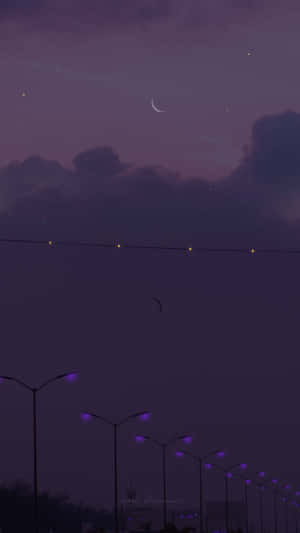 紫色路燈排列在一條安靜的道路旁，上方是帶有新月的星空暮色天空。