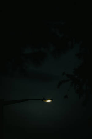 孤獨的街燈在黑暗的夜空中閃耀，伴隨著樹木的剪影。 — Tumblr 文青風格 壁紙