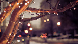 光禿的樹枝上掛滿閃爍的燈光，在雪夜的城市中。 — 聖誕節桌面 壁紙