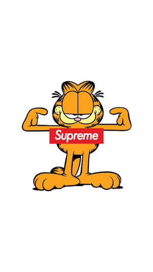 加菲貓卡通貓彎曲手臂拿著紅色Supreme標誌盒子。
