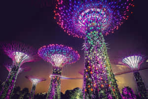未來主義城市公園中夜間發光的人造樹木。