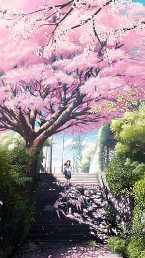 學生們在櫻花樹下玩耍，花瓣飄落在石階上。 — 可愛動漫女仔 壁紙