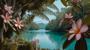 粉紅色雞蛋花環繞著平靜的碧綠湖泊，點綴著綠色棕櫚樹和遠處的森林山丘。