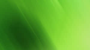 帶有柔和對角光線條紋的抽象綠色漸變背景。 — 淺綠色美學動態圖 壁紙