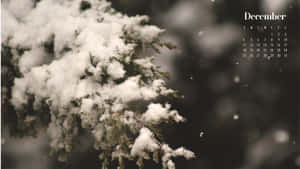十二月背景 — 十二月 GIF 壁紙