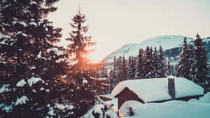 冬日森林中的雪覆蓋小屋與日落
