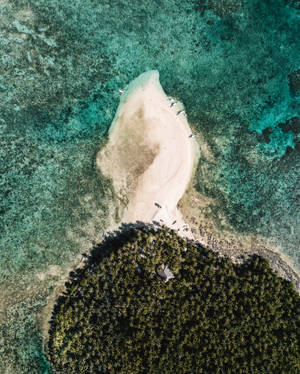 熱帶島嶼的俯瞰圖，有沙灘和叢林