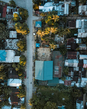 從高空俯瞰一條熱帶城市街道，兩旁種滿棕櫚樹，屋頂色彩繽紛，正值日落時分。