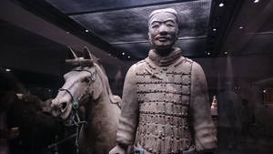 博物館展櫃中的兵馬俑及馬匹雕像，背景有參觀者。 — 中國 壁紙