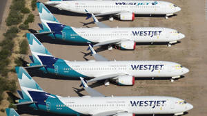 四架西捷航空飛機在明亮的日光下整齊地停放在乾燥的地面上。