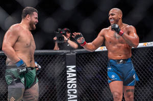 兩名MMA拳手在UFC八角籠內比賽後慶祝。 — 微笑 壁紙