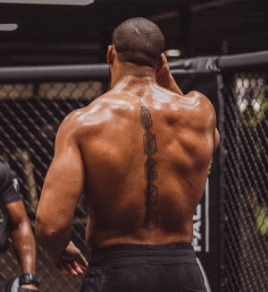 紋身運動員在MMA籠內準備比賽。 — 健身 壁紙