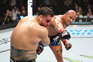 兩名MMA拳手在八角籠內進行血腥的近身搏鬥。 — 搏擊會 GIF 壁紙