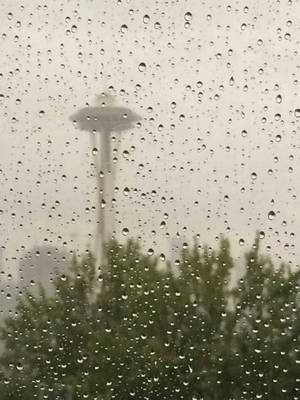 窗戶上的雨滴，透過薄霧可見太空針塔和樹木。