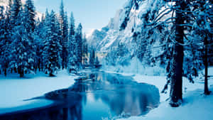白雪覆蓋的松樹和山脈倒映在平靜的冬日河流中。