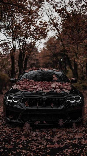 森林中覆蓋著紅色秋葉的黑色BMW。