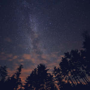 在星空下、銀河和發光雲彩中的剪影松樹。