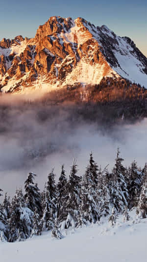 白雪覆蓋的山峰在日出光芒中閃耀，位於霧氣森林之上。