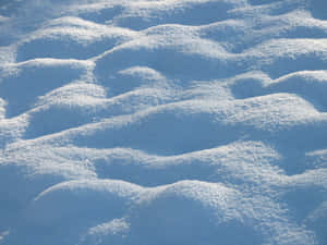 在明亮陽光下投下藍色陰影的起伏雪堆